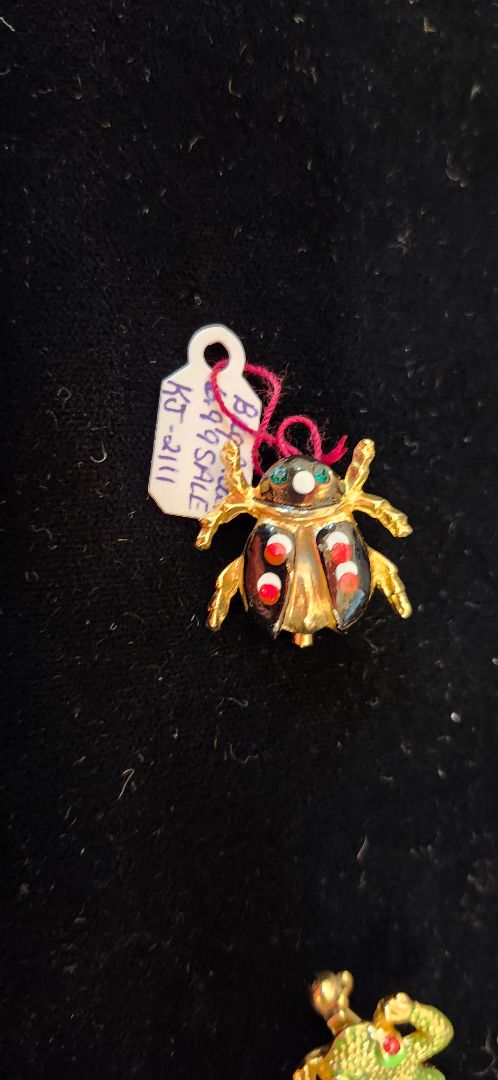 Bug Brooch