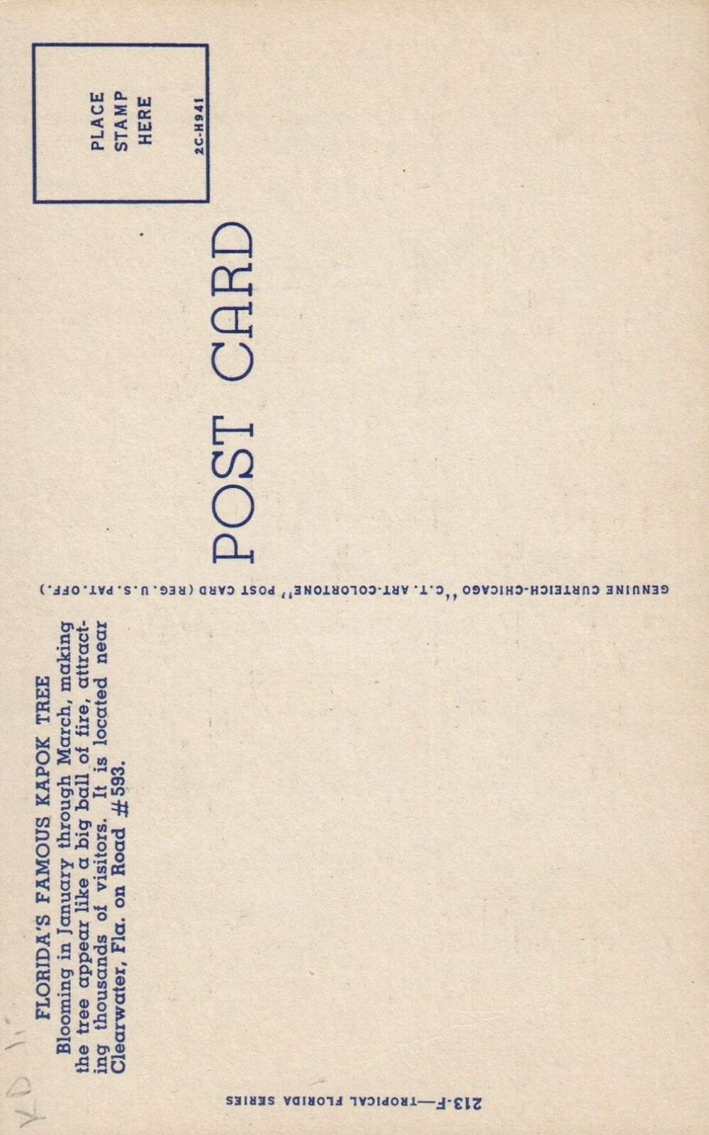 Famous Kapok Tree In Bloom 213-F Tropical Florida Series FL FLA Tree Postcard