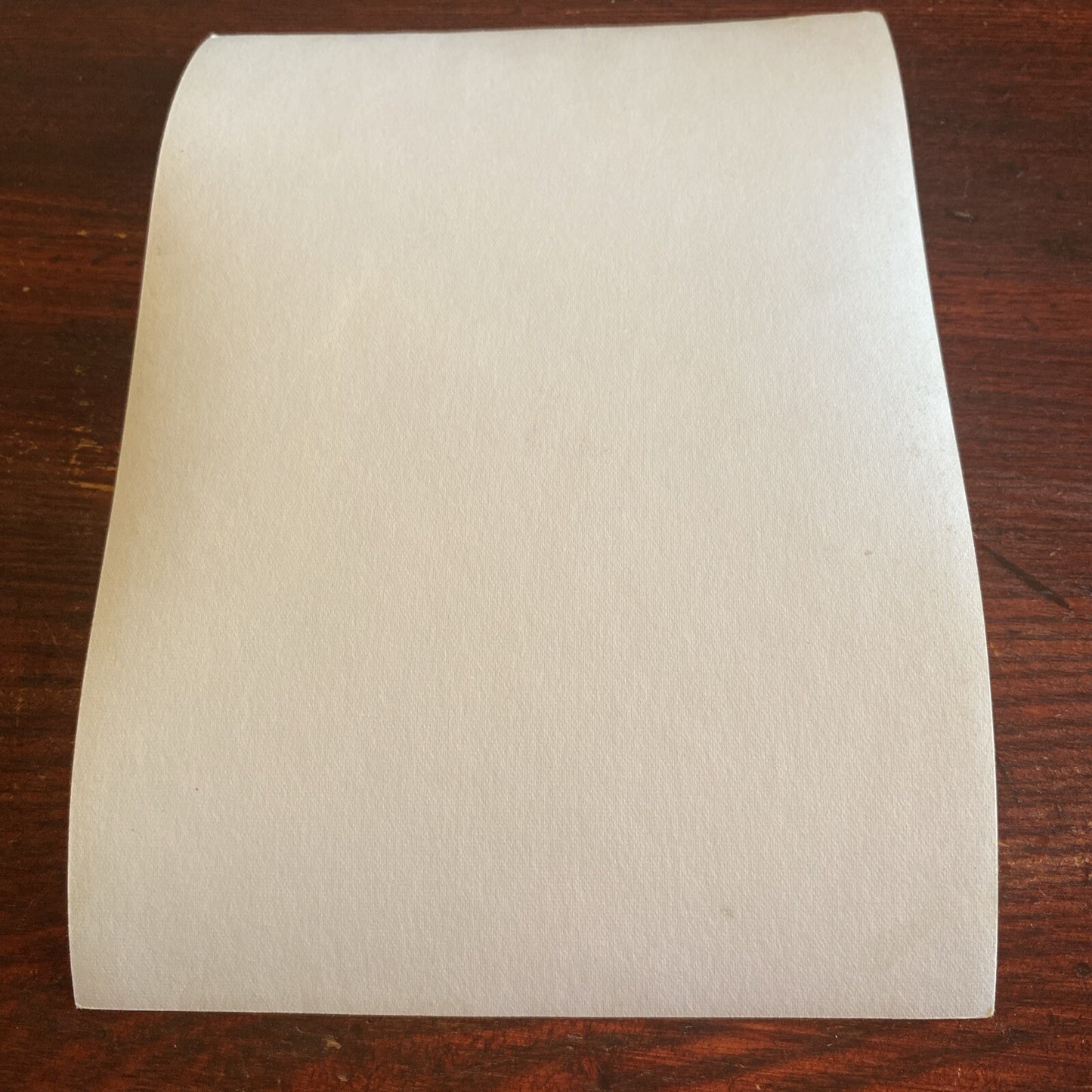 RARE AUTOGRAPHED INK Real PHOTO Andrea King Personalized Signed 5 x 7 Movie Star