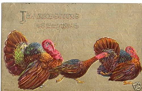 Gold Embossed Two Tom Turkeys and Hen Thanksgiving Greetings Postcard