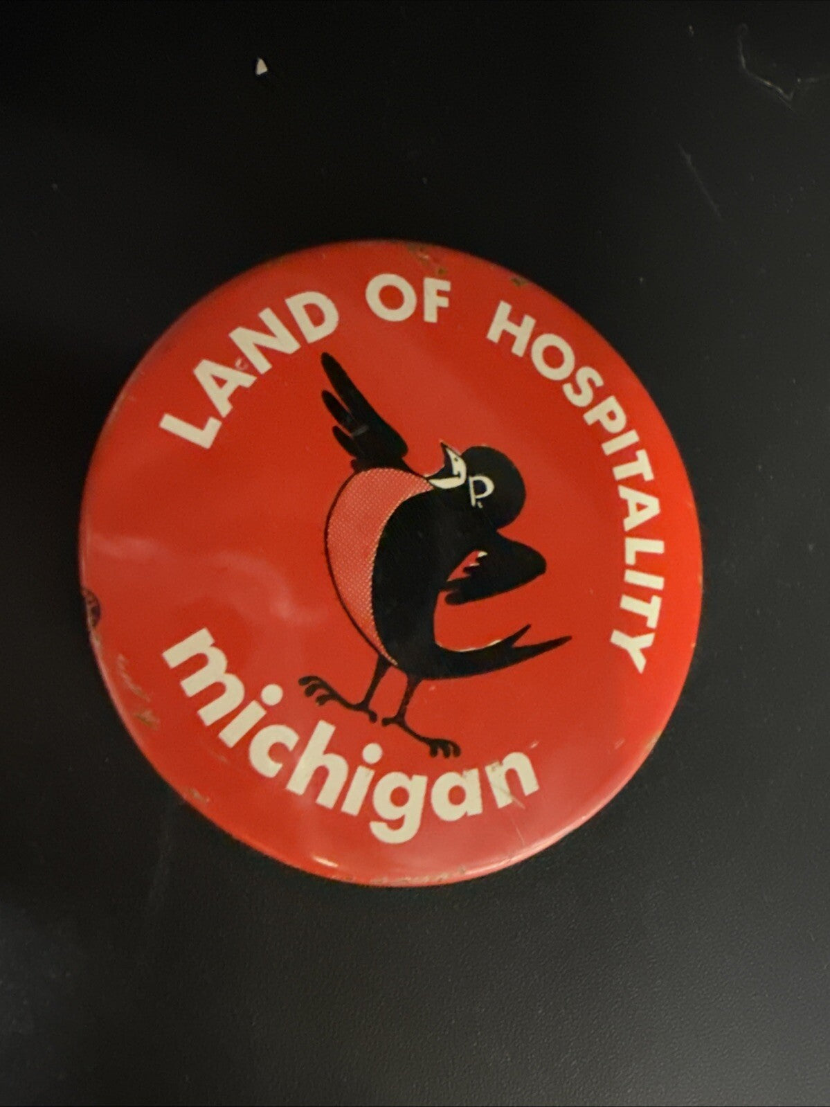Lot of 3 Land of Hospitality Robin Bird Vintage Pin Pinbacks MI Michigan