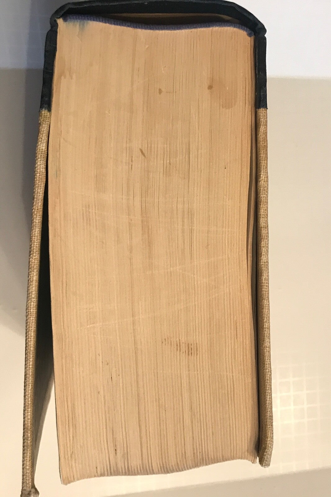 The Reader's Digest Great Encyclopedia Dictionary