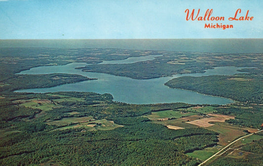 Walloon Lake Overview MI Michigan Mich Postcard