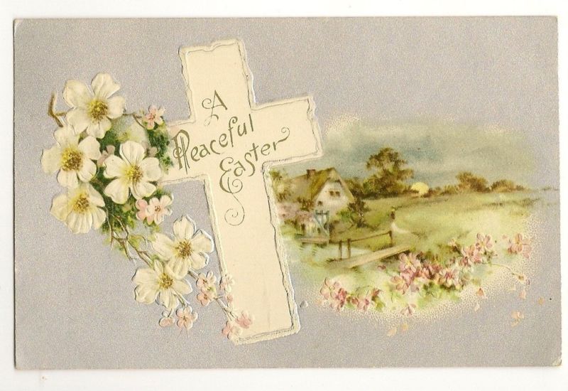 Nash Easter Scenic Valley Postcard flowers