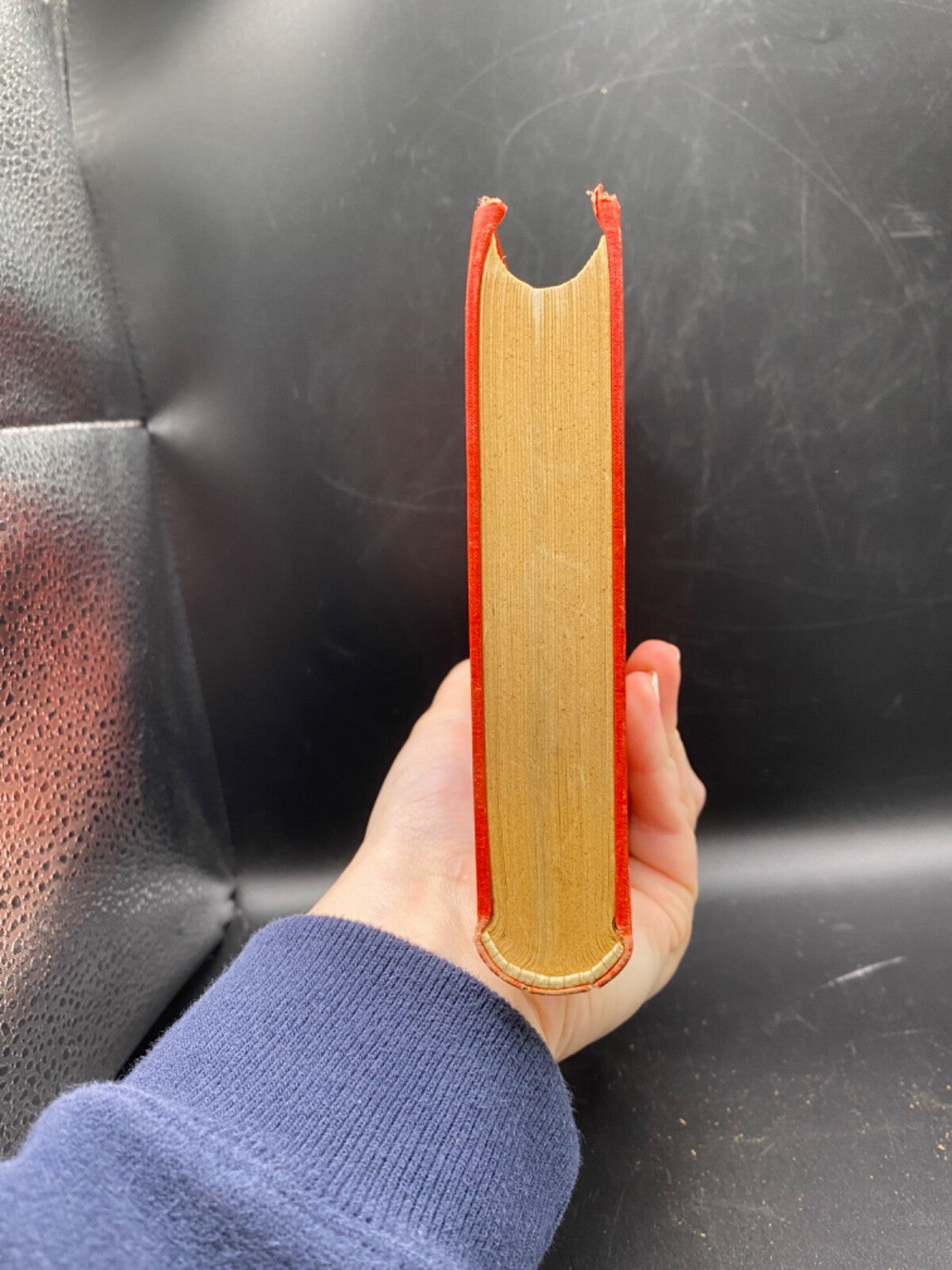 Antique Leather Book Runebergs Samlade Skrifter Viktor Rydberg 1896 Swedish