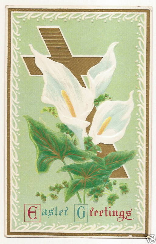 Lily Easter Postcard Series Flower