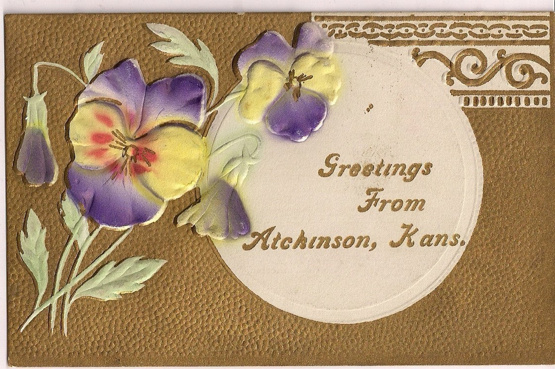 Pansy Flowers Greeting from Atchinson Kansas KS Postcard