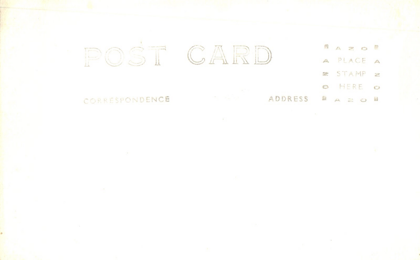 Real Photo Bonsai Tree Pacific Northwest Vintage Oregon Postcard