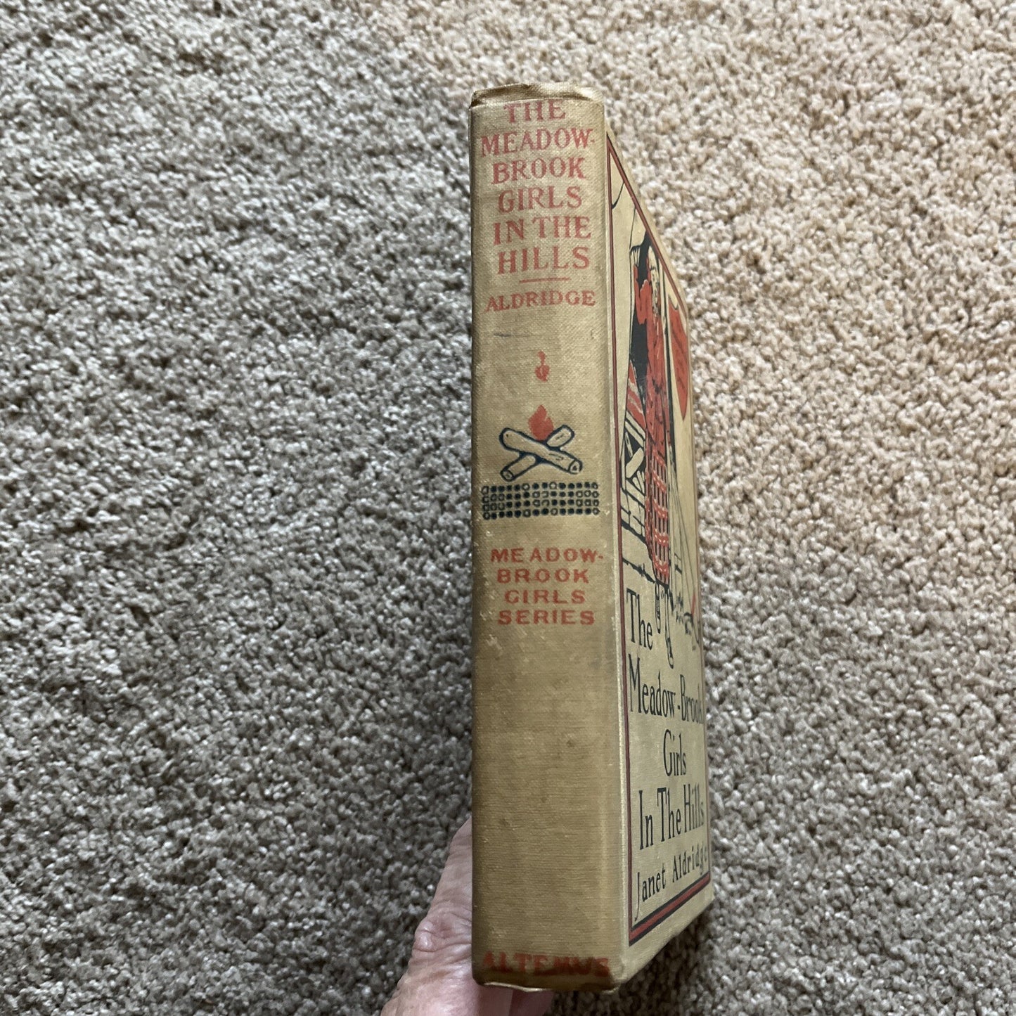 1914 THE MEADOW BROOK GIRLS in the HILLS Hardcover Book by JANET ALDRIDGE