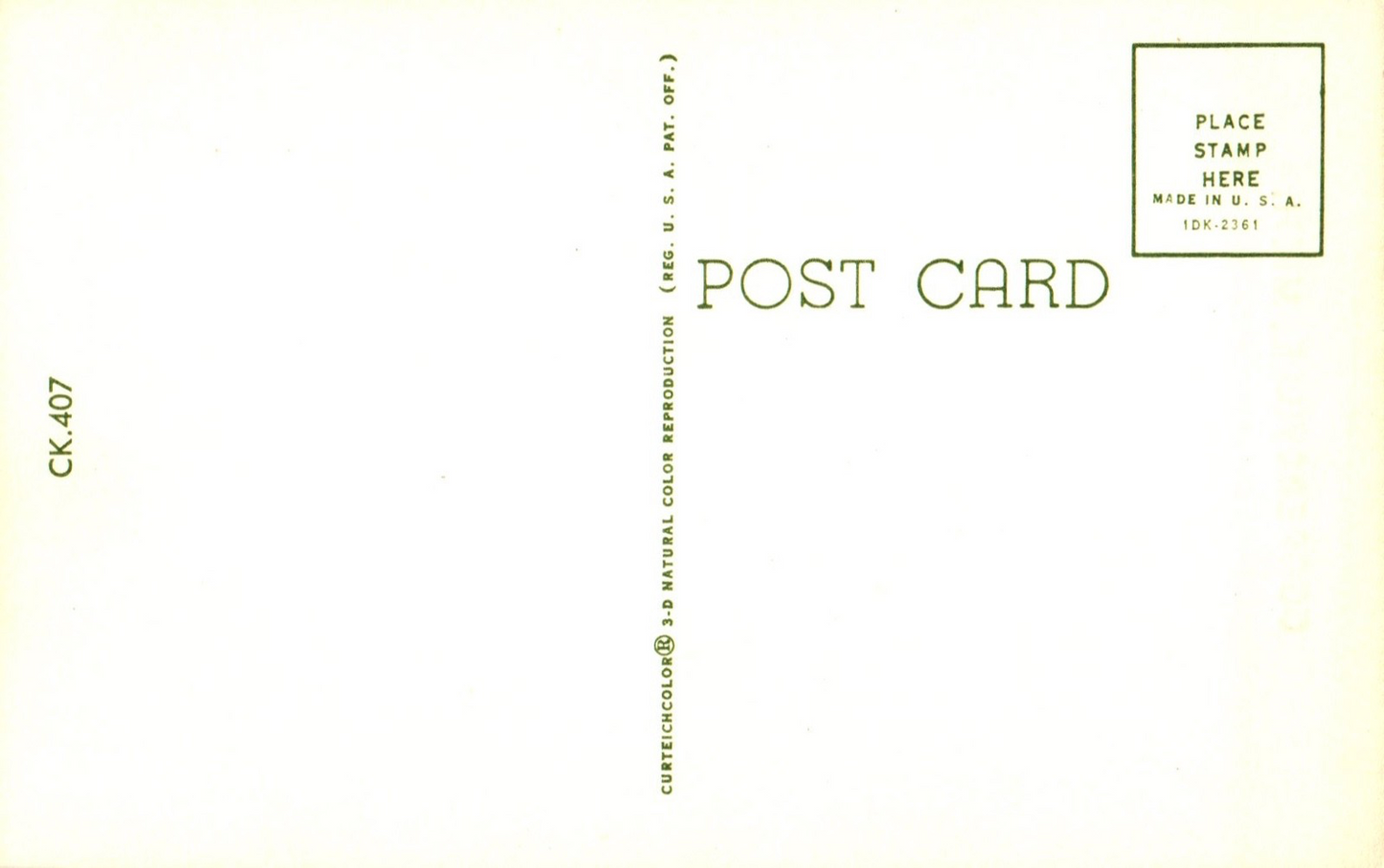 Robin in Tree Spring in Coopersville MI Michigan Postcard