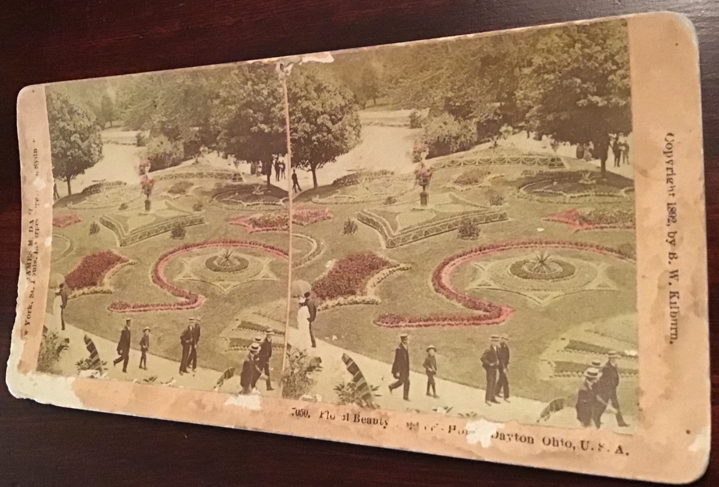 Real Photo Floral Beauty Dayton Ohio OH Park Stereoview Hand colored