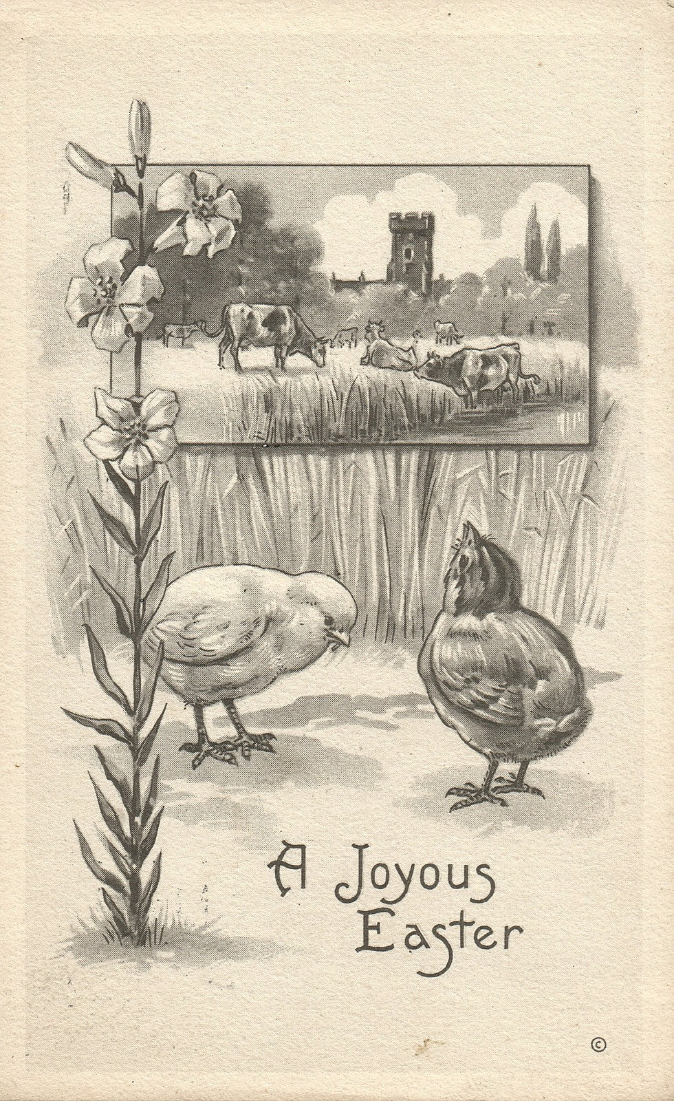 Julius Bien Cows Easter Chick Postcard Series