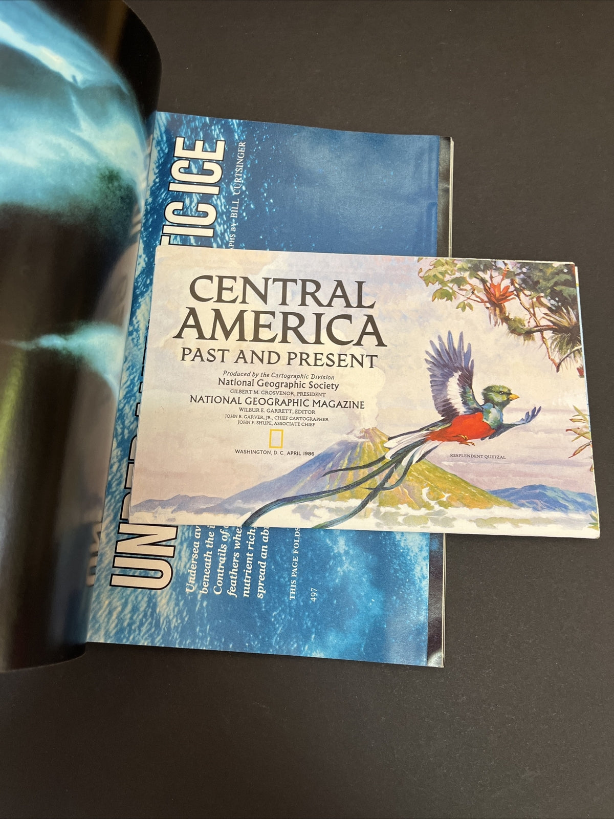 April 1986 National Geographic Rio Azul Lost City of the Maya