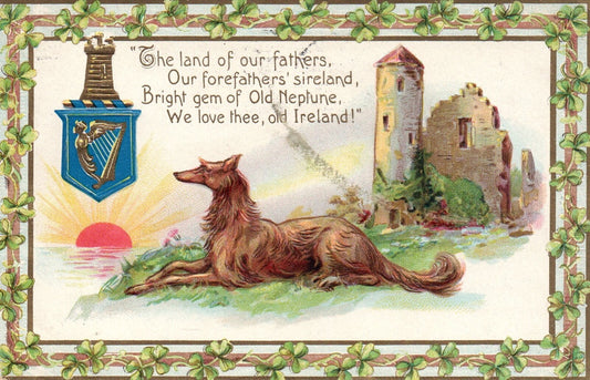 We Love Thee, Old Ireland! Irish Dog with Castle St. Patricks Day Postcard