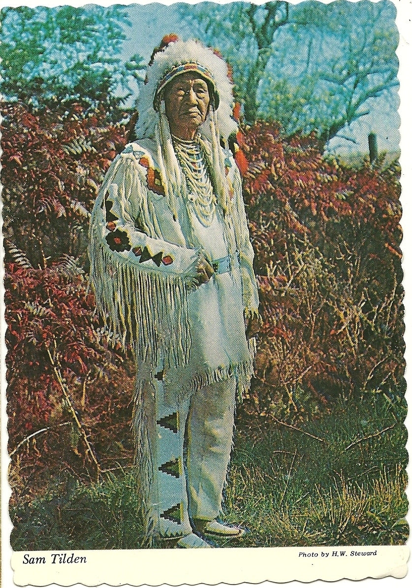 Sam Tilden Sumken "Shirt On" Nez Perce Native American Indian Postcard W-253