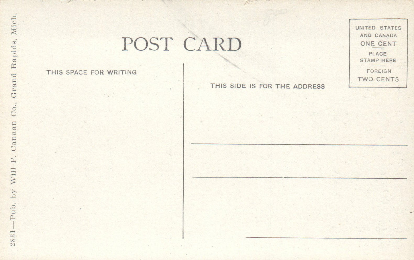 Buffaloes Tamed and Driven By WH Boyer Sunfield Michigan Mich MI Postcard