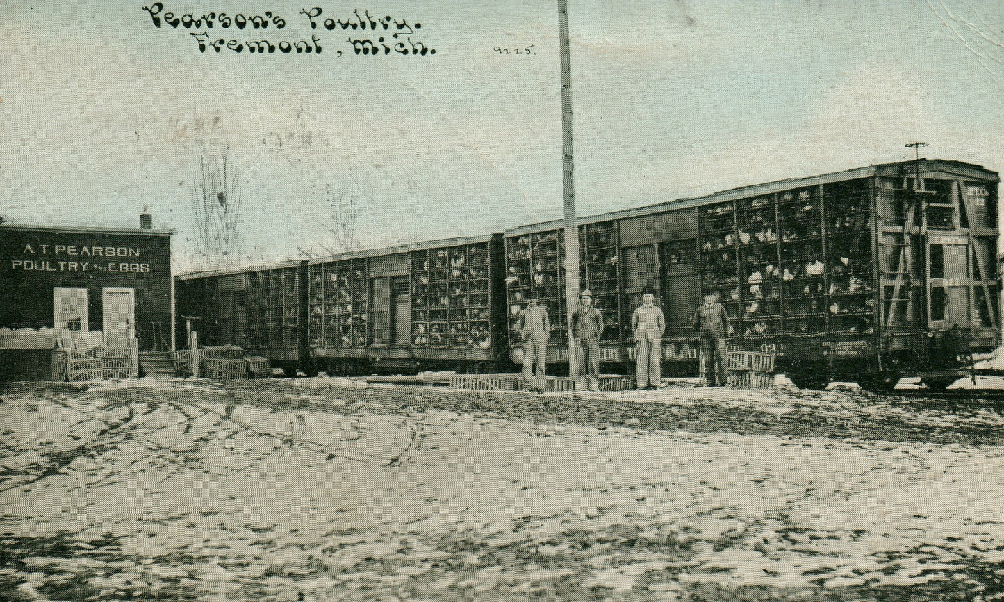 1906 Pearson's Poultry Fremont Mich Michigan MI