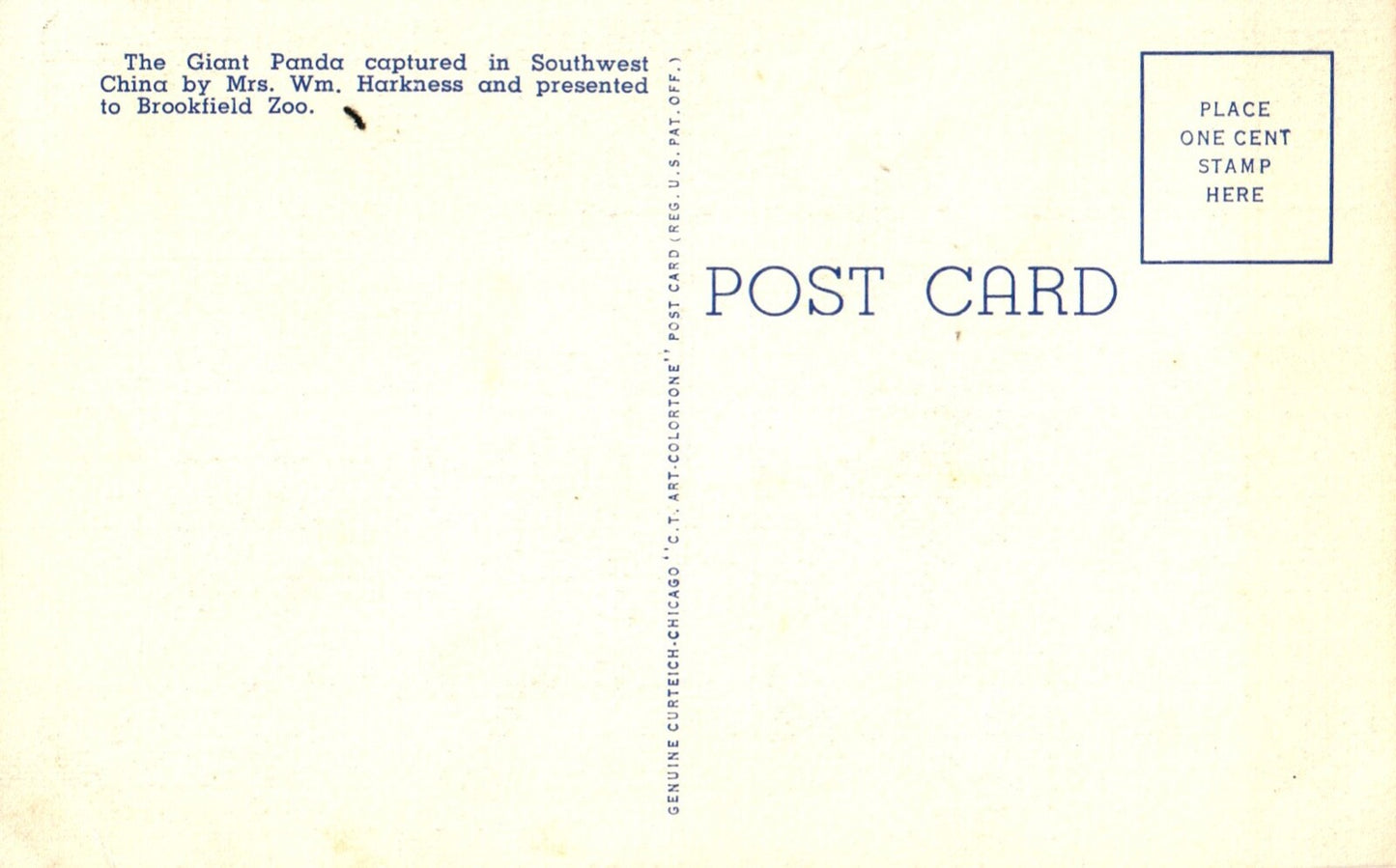 Giant Panda on Log in Chicago Brookfield Zoo Vintage Panda Bear Animal Postcard