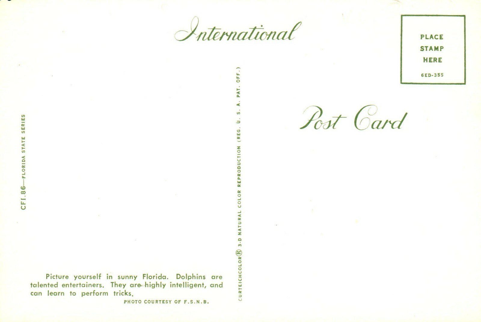 Watch The Birdie Hello From Florida Sea World Amusement Park Orlando FL Florida