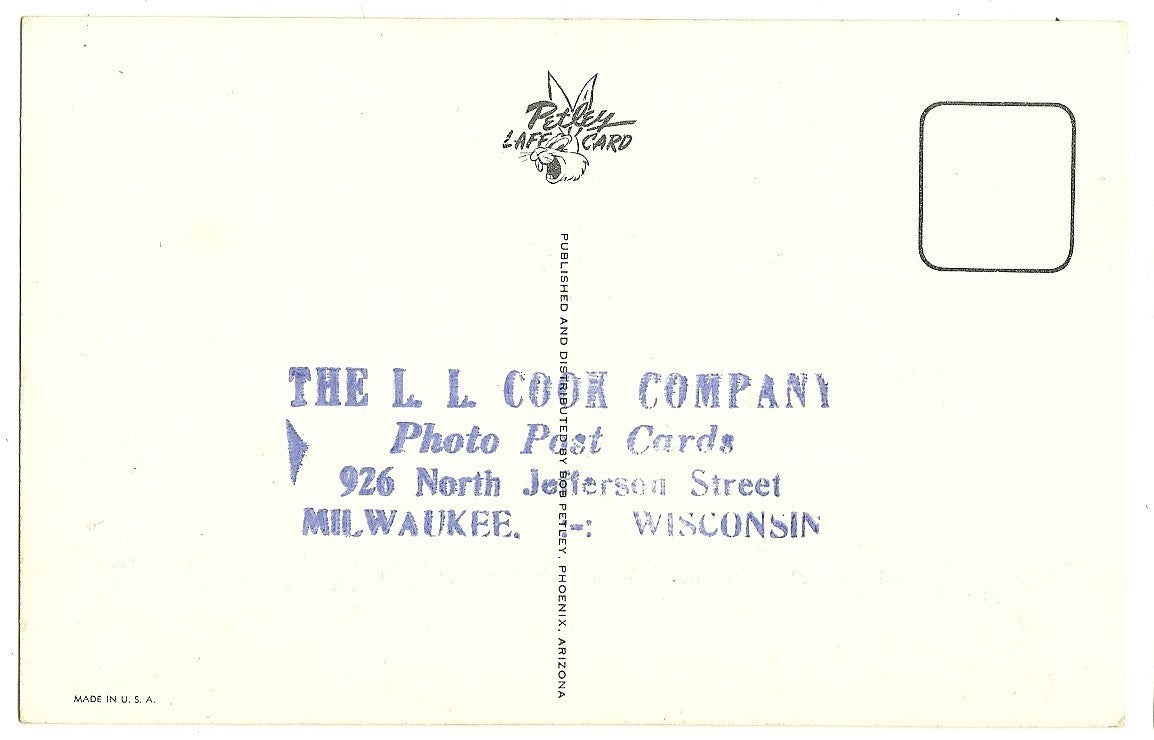 Restaurant Waiter Has Thumb in Soup Artist Signed Bob Petley Comic C-99 Postcard