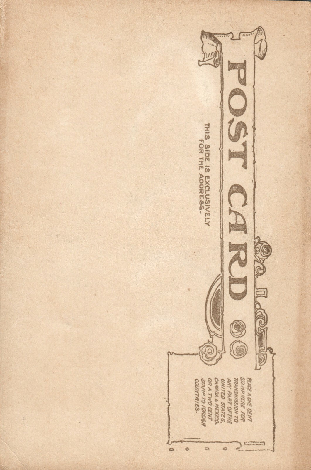 Flatiron Building Street View New York City NYC NY Postcard