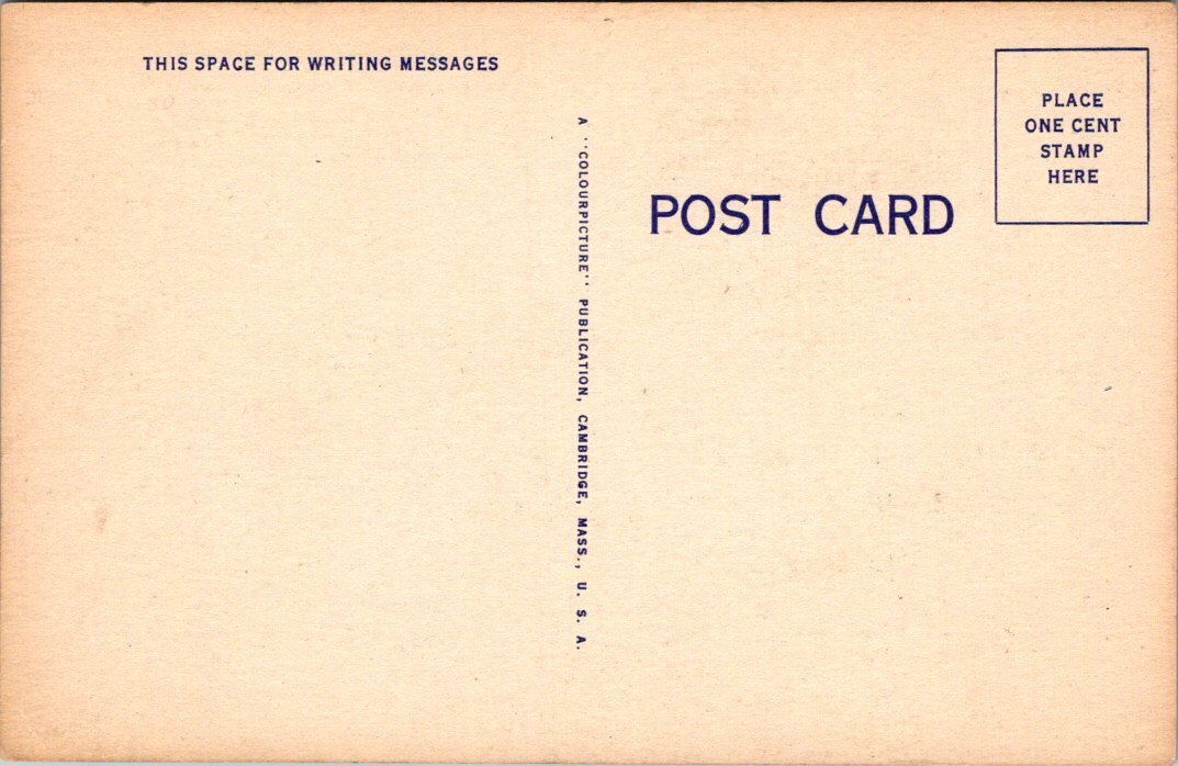 Man in Small Rowboat "Just Chartered a Yacht" for Fishing Comic 155 Postcard