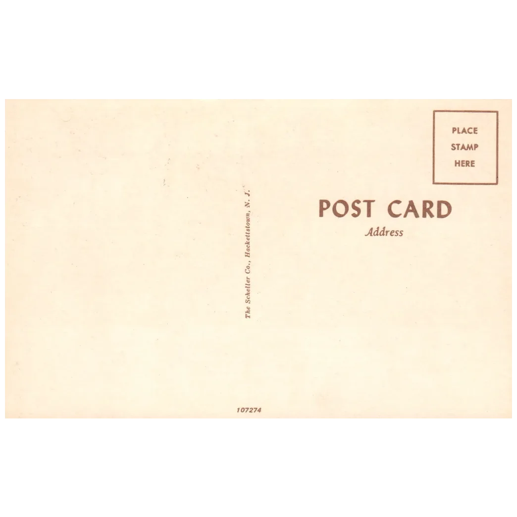 Fabulous "Keep USA FIRST" Sons of the American Revolution Vintage Postcard