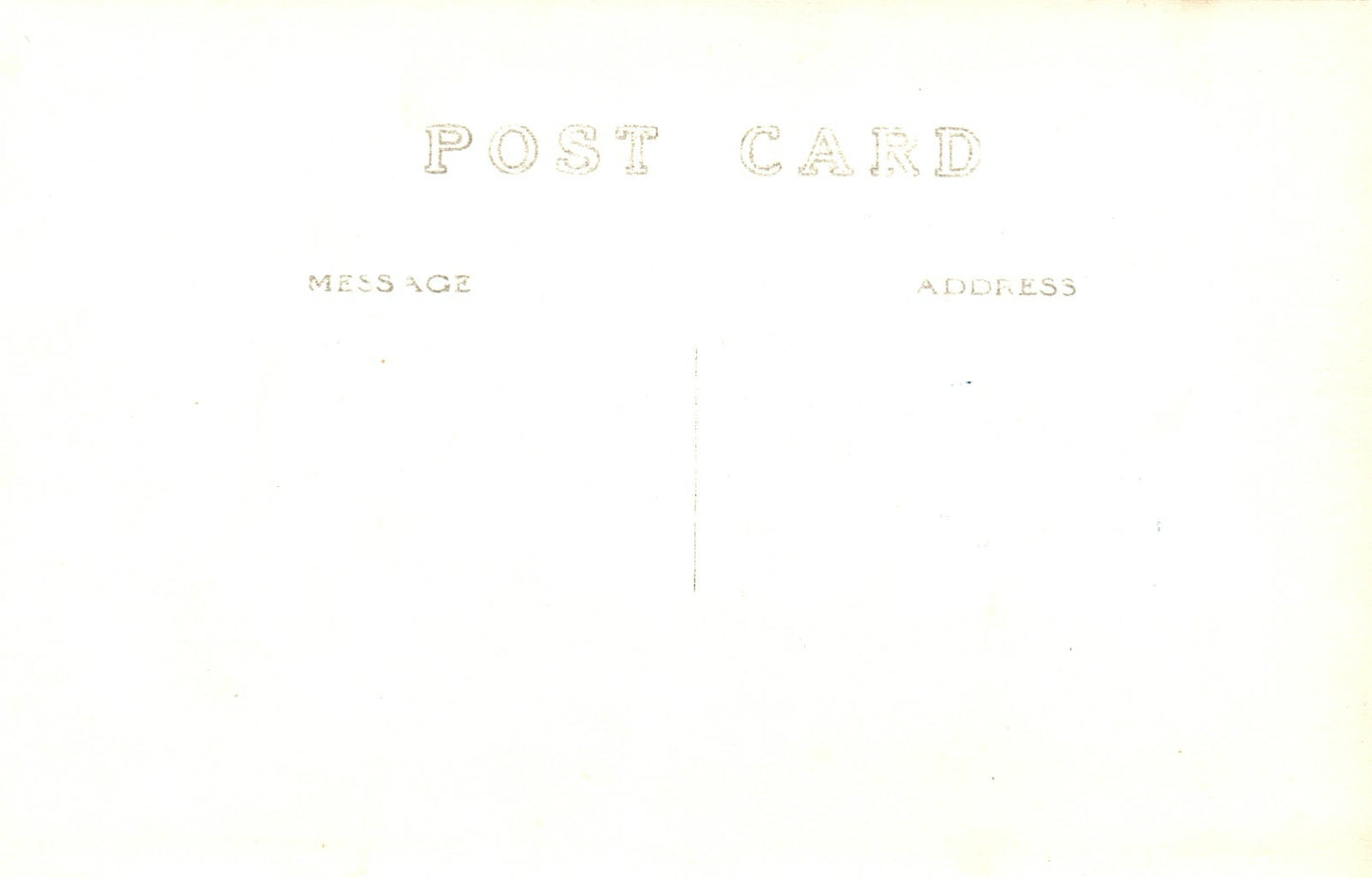 Real Photo Forest trees Grayling MI Michigan