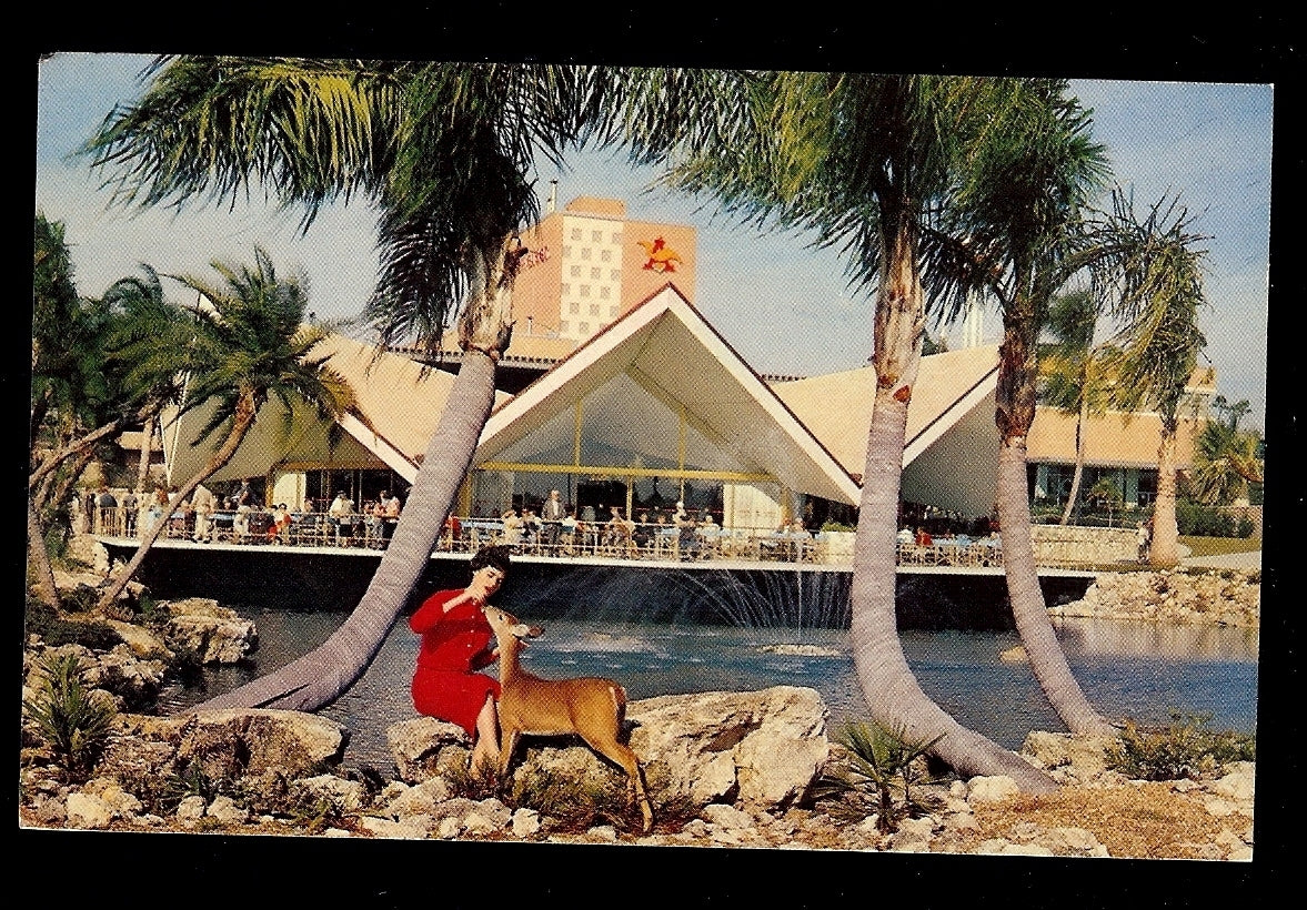 Hospitalisty House at Busch Gardens Tampa Florida Amusement Park Postcard