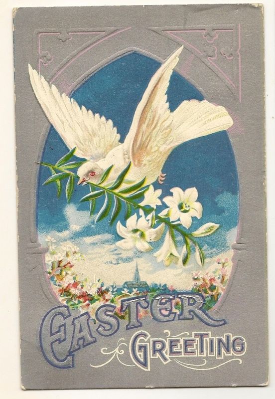 White Dove Silver  Easter Lily  Series Postcard 1909
