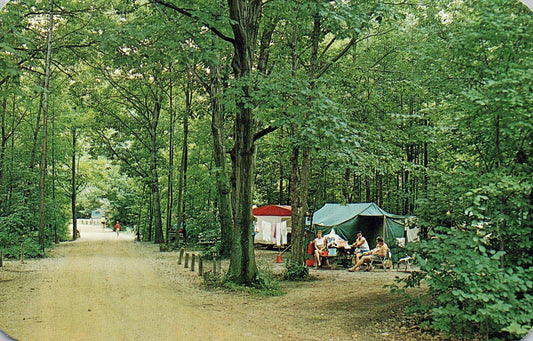 Warren Dunes State Park Scenic Drive In Camp Ground Sawyer MI Michigan Postcard