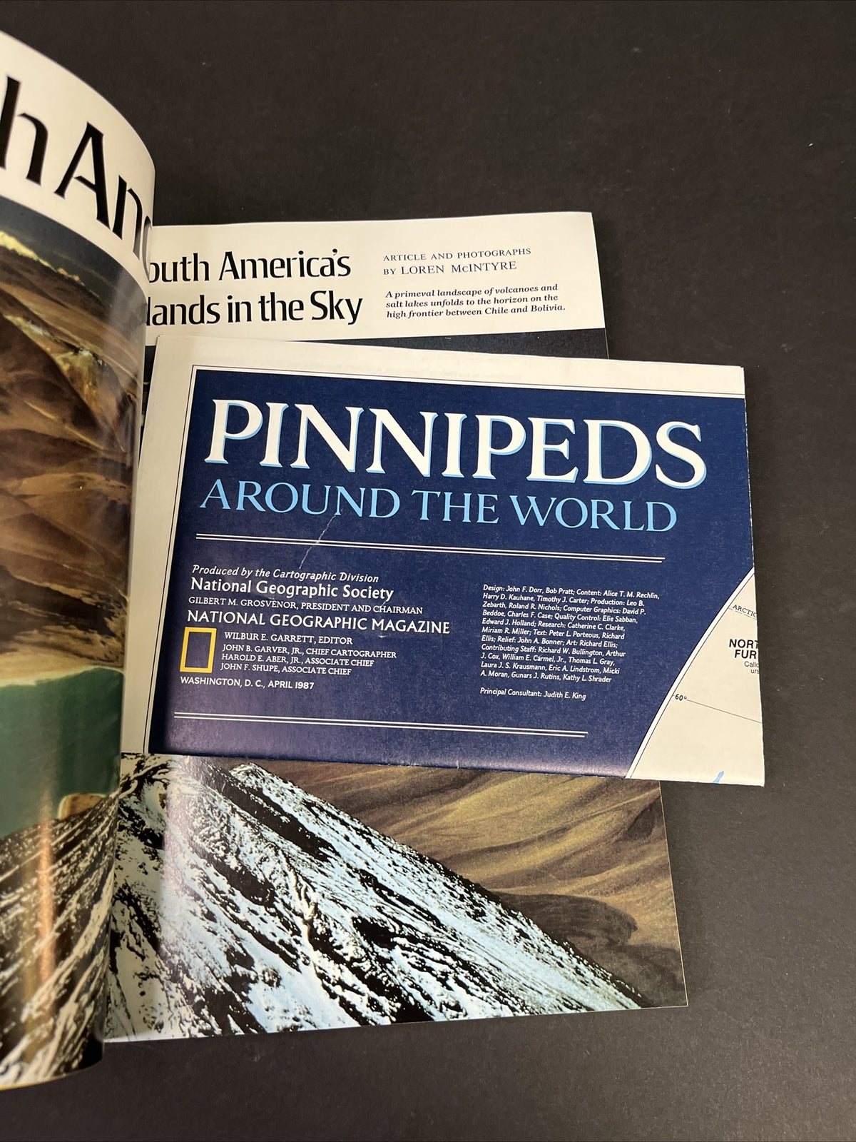 April 1987 National Geographic Seals and Their Kin