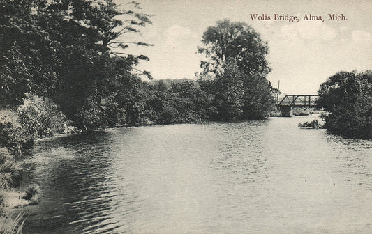 Wolfs Bridge Alma MI Mich Michigan Postcard