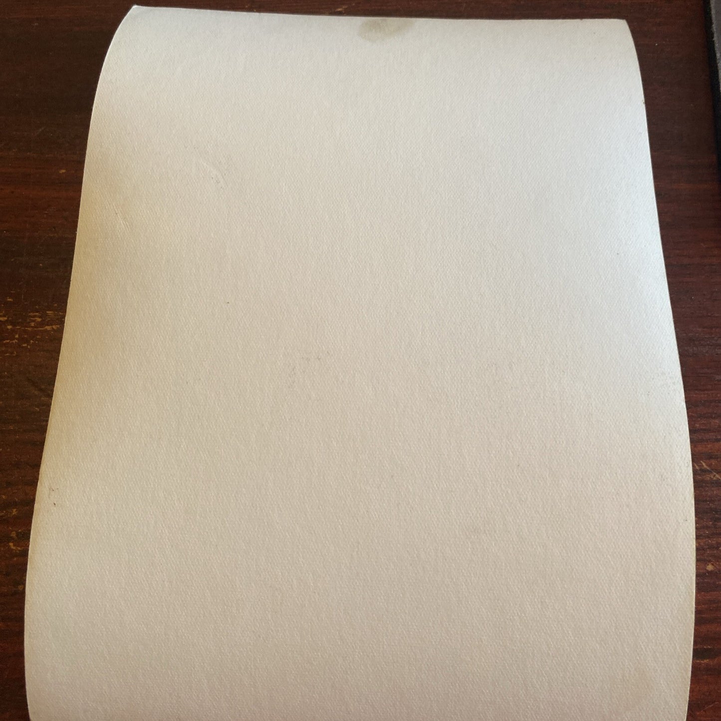 Hollywood AUTOGRAPHED INK Real PHOTO Barbara Brown Personalized Signed 5 x 7