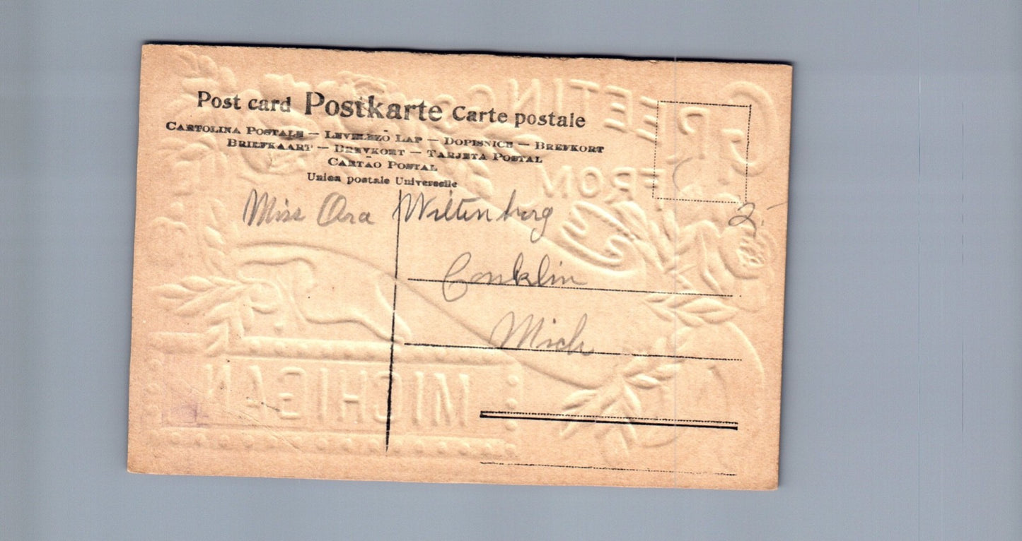 Greetings From Coopersville MI Michigan Postcard