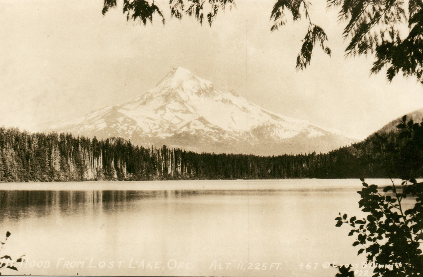Mount Hood from Lost Lake OR Oregon 467 Postcard