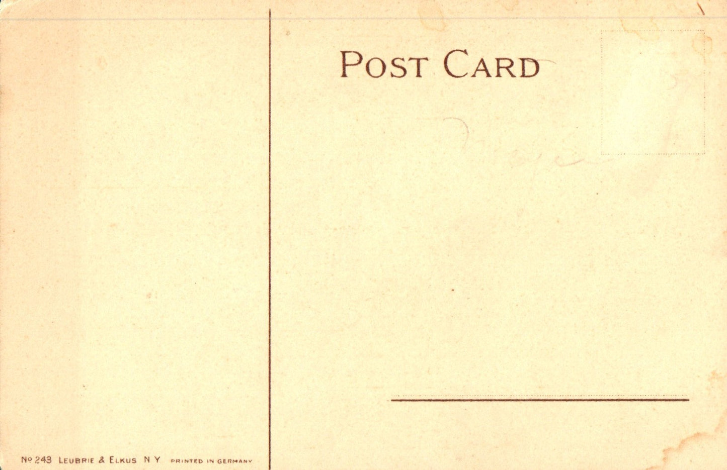 Artist Signed Catherine Klein Floral Pink Flowers # 243 Leubrie Elkus N Postcard