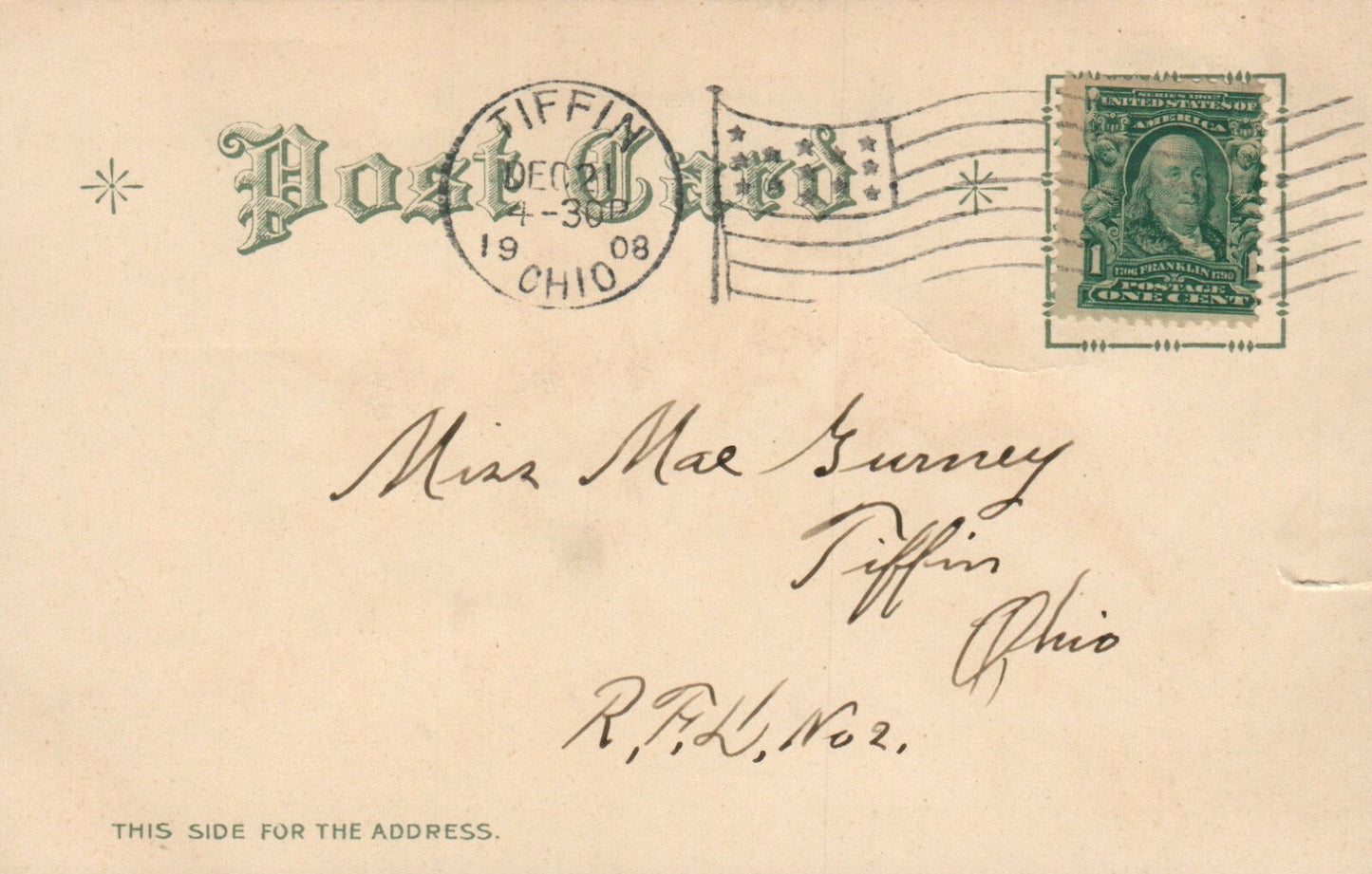 Early Nash 1908 Bird Birds on tree Christmas Postcard