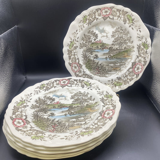 6 10" Dinner Plates English Staffordshire J & G Meakin Stratford-On-Avon