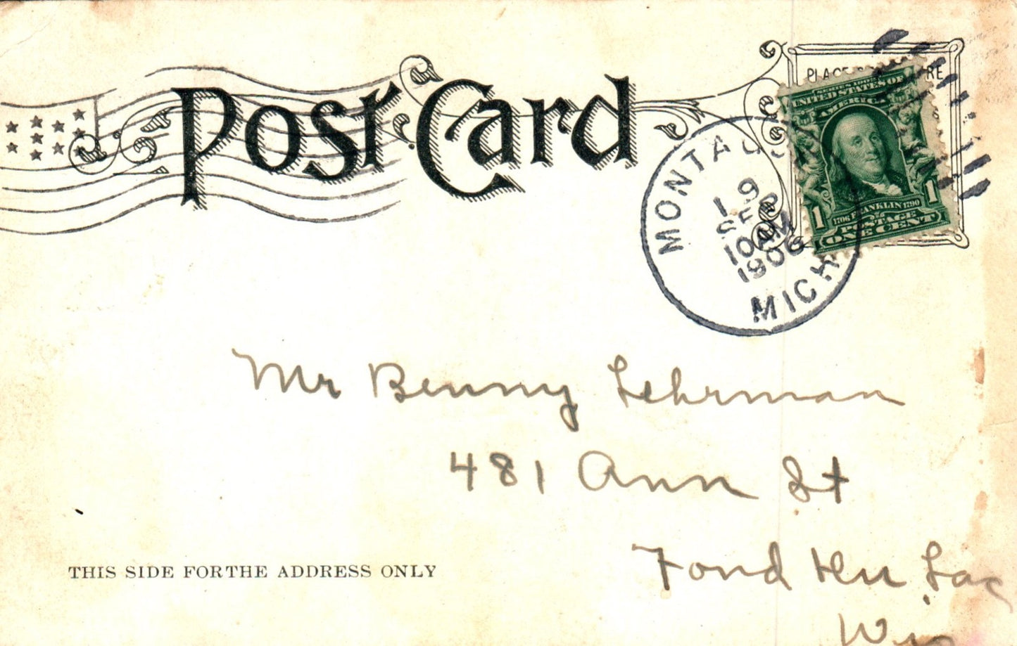 Three Cows in Path Grazing with Man Vintage Cow Animals Postcard