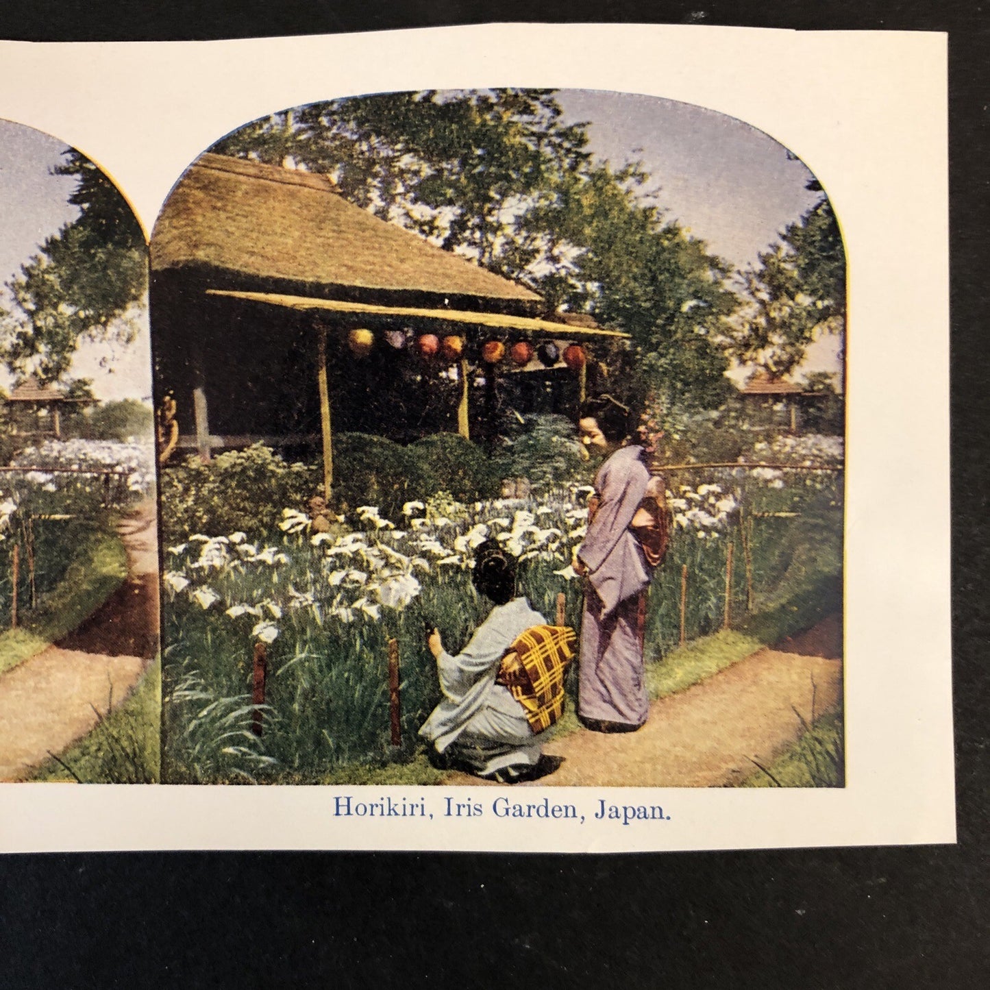 RARE Stereoview Paper Cards Japan Iris Garden Shinto Priests Tokio Lot of 2