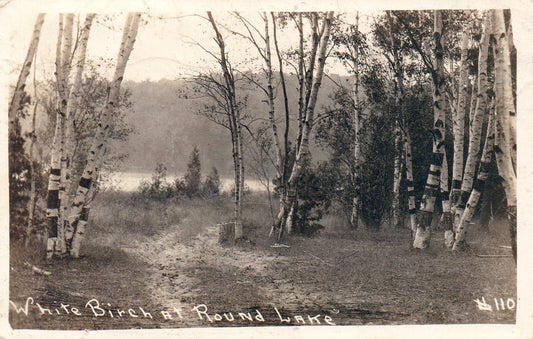 White Birch at Round Lake in Curtis Michigan Mich Postcard