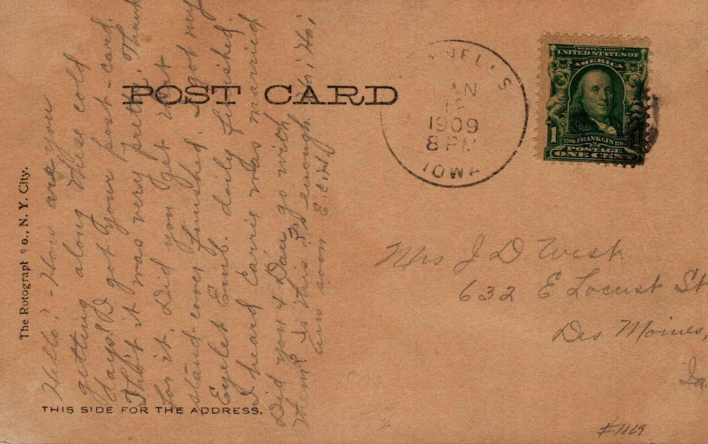 Cat in Basket "Just Big Enough" B1019 Rotograph Co Animal Postcard