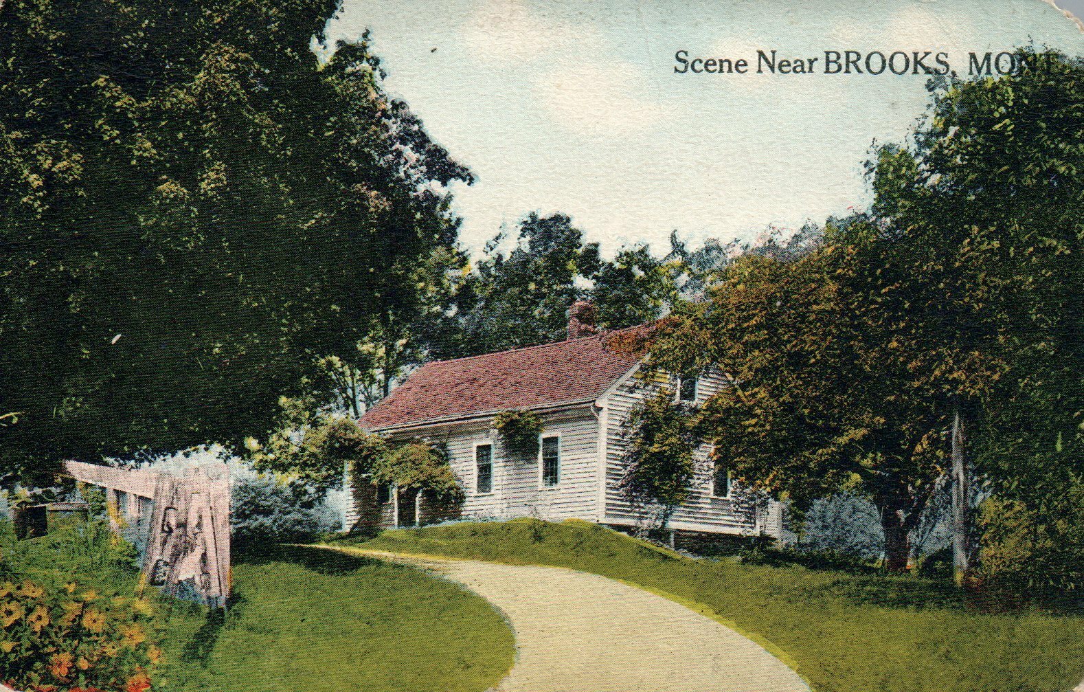 White House Scenery near Brooks MT Montana Vintage Postcard