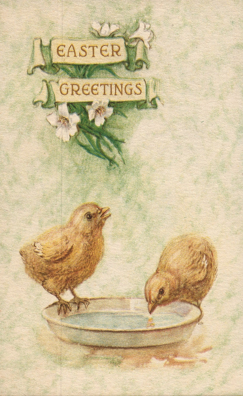 Easter Chicks Drinking From Pan Postcard