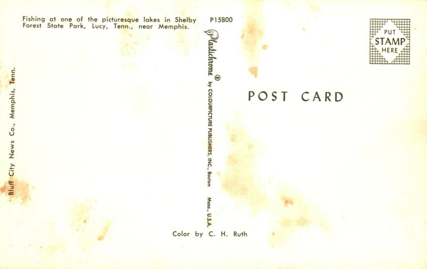 Lake In Shelby Forest State Park Lucy TN Tennessee Postcard