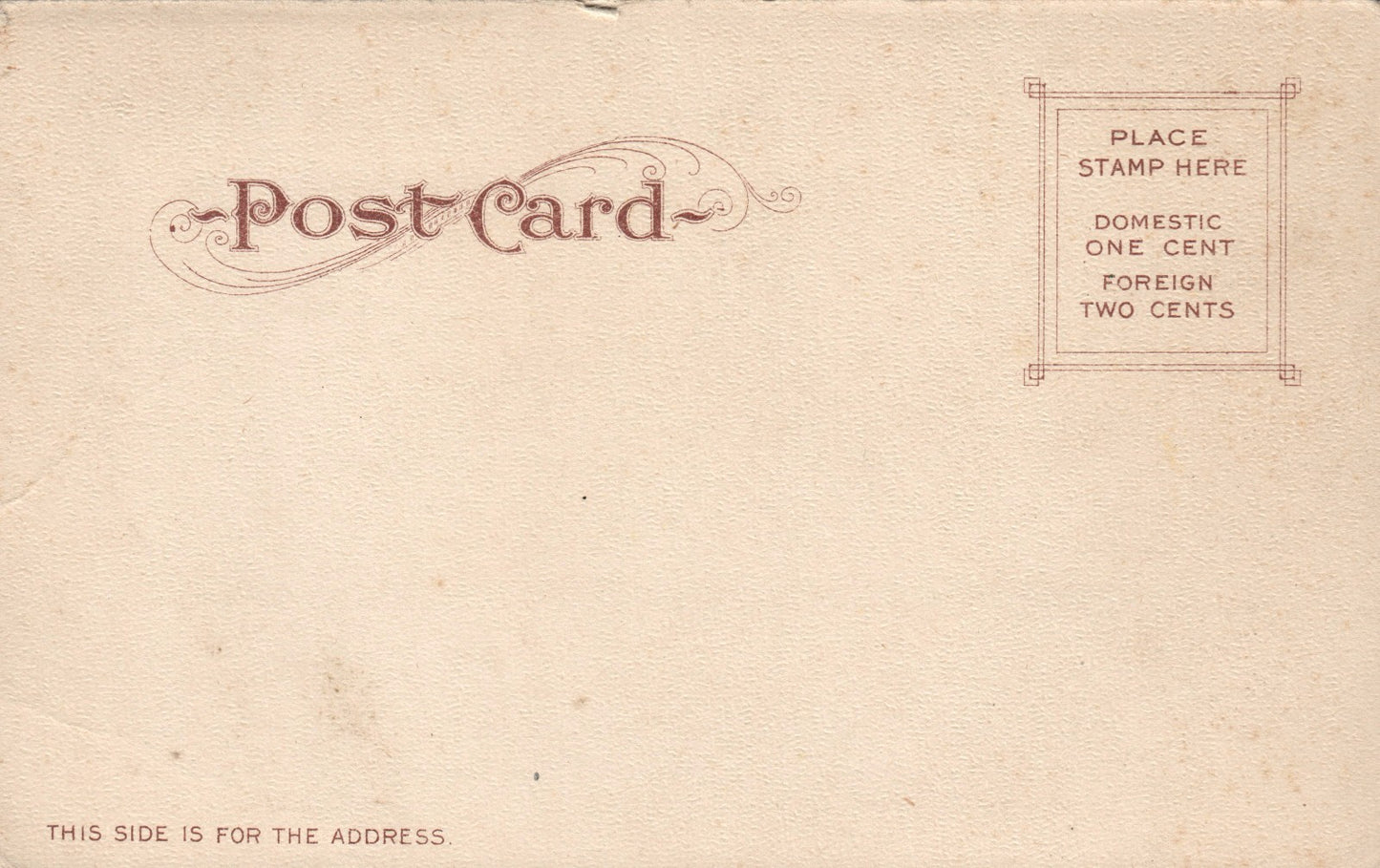 Early Pre 1907 #265 Skaguay Alaska AK Postcard