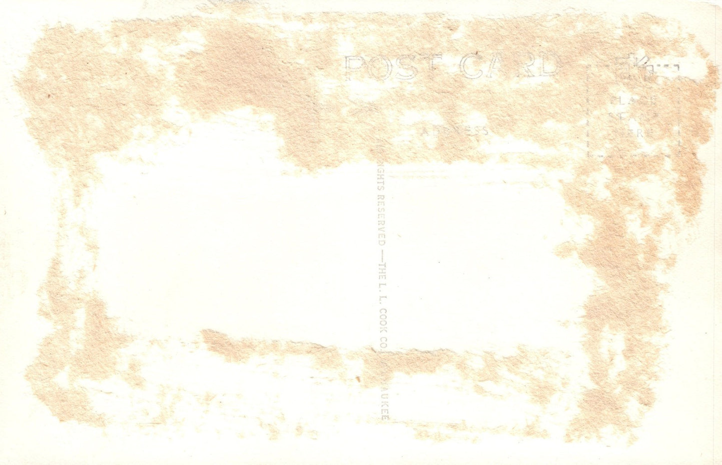 RPPC Real Photo Buck Doe Deer LL Cook 1945 Gladstone MI Mich Michigan Postcard