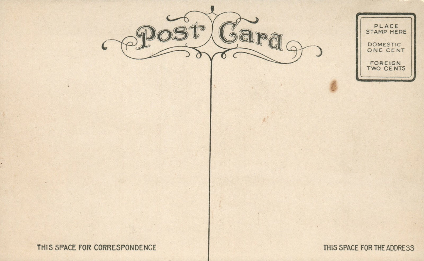 Scene At Spring Brook Janesville WIS Wisconsin Postcard