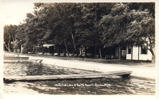 White Fish Lake at Hartts Resort Pierson MI Michigan Mich Postcard